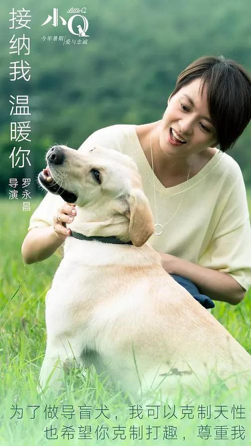 病条通知书哪里可以做假的